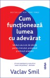 Cum functioneaza lumea cu adevarat - Vaclav Smil - Lifestyle