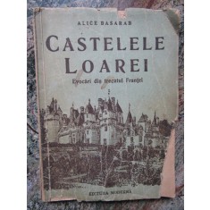 Castelele Loarei Evocari din trecutul Frantei- Alice Basarab