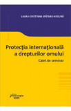 Protectia internationala a drepturilor omului. Caiet de seminar - Laura-Cristiana Spataru-Negura