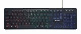 TASTATURA GEMBIRD USB, multimedia 104 taste + 12 taste multimedia, backlight &amp;quot;Rainbow&amp;quot;, black &amp;quot;KB-UML-02&amp;quot; (timbru verde 0.8 lei)