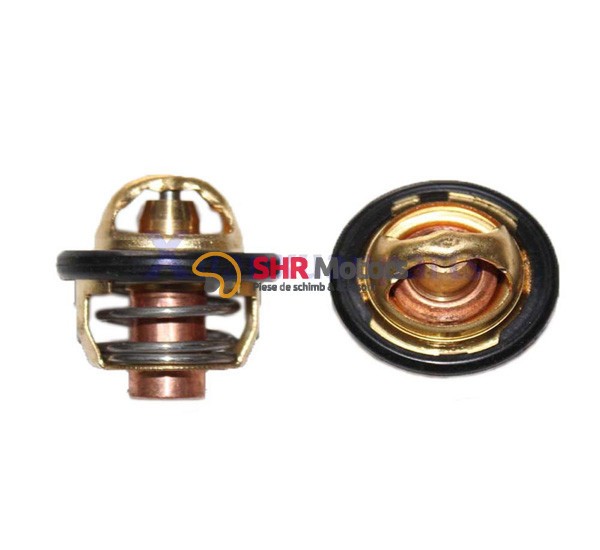 09. Termostat CF Moto 500