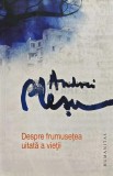 Cumpara ieftin Despre frumusetea uitata a vietii - Andrei Plesu (@C91)