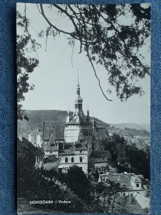 419 - Sighisoara - vedere / carte postala RPR necirculata