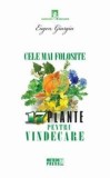 Cele mai folosite 17 plante pentru vindecare