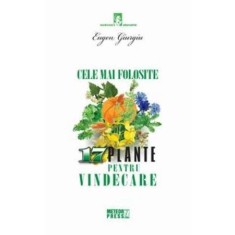 Cele mai folosite 17 plante pentru vindecare