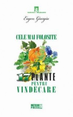 Cele mai folosite 17 plante pentru vindecare foto