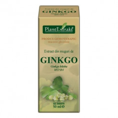 Extract din muguri de GINKGO 50ml Plant Extrakt foto