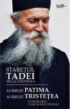 Ai biruit patima, ai biruit tristetea - Staretul Tadei