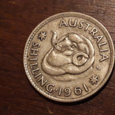 Australia - 1 shilling 1961 - ag.