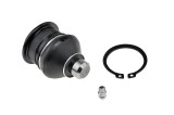 Rotula brat suspensie Nissan Micra K13t 2010-, Note E12 2012-, Fata, Inferior, NTY ZSD-NS-019