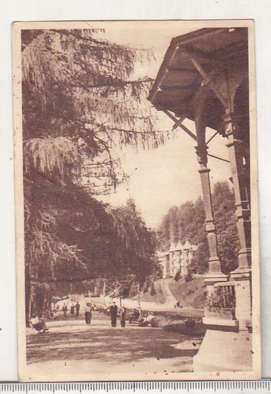 bnk cp Slanic Moldova - Aleie din parc - uzata 1951 - Libraria noastra