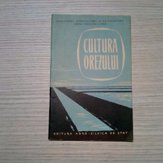 CULTURA OREZULUI - N. Vasilescu - Editura Agro Silvica, 1959, 42 p.