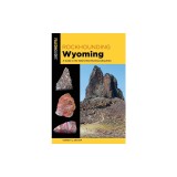 Rockhounding Wyoming: A Guide to the State's Best Rockhounding Sites