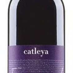 Vin rosu - Crama Catleya, Freamat, Cabernet & Merlot, 2016, sec | Corcova