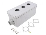 Carcasă pentru pilot IP66 97x226x99mm