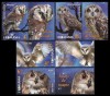 Fauna - Păsări de noapte 2022, seria cu vinieta, LP 2368b, MNH, Nestampilat