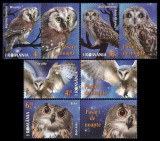 Fauna - Păsări de noapte 2022, seria cu vinieta, LP 2368b, MNH, Nestampilat