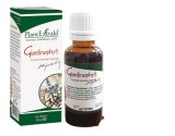 Giardinophyt, 30ml, PlantExtrakt