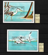 Timbre Maldive, 1990 | Păsări marine - Animale | 2 Coliţe - MNH | aph foto
