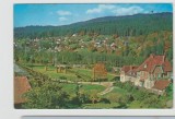 bnk cp Poiana Tapului - Vedere spre Zamora - circulata