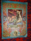 Fram , ursul polar - Cezar Petrescu / ilustratii; Iacob Desideriu , an 1986