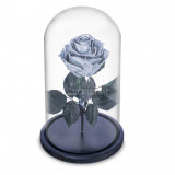 Cumpara ieftin Trandafir Criogenat argintiu &Oslash;6,5cm in cupola sticla 10x20cm