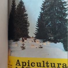 REVISTA APICULTURA IN ROMANIA ANUL 1977 , LOT 12 REVISTE AN COMPLET .