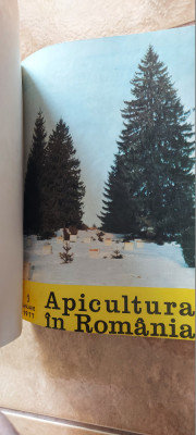 REVISTA APICULTURA IN ROMANIA ANUL 1977 , LOT 12 REVISTE AN COMPLET . foto