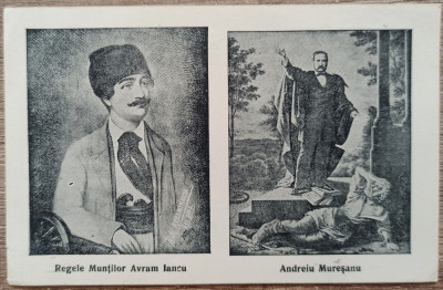 Regele Muntilor Avram Iancu, Andreiu Muresanu// CP foto