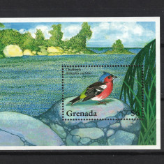 Timbre Caraibe, Grenada, 1995 | Cinteză - Păsări, Animale | Coliţă MNH | aph