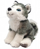 Catelus Husky - Jucarie Plus 20 cm