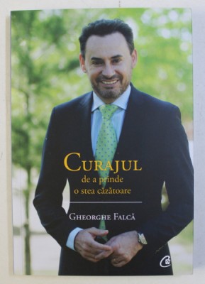 CURAJUL DE A PRINDE O STEA CAZATOARE de GH. FALCA , 2019 foto