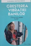 Cresterea vibrtatiei banilor. Drumul de la identitate la fiinta! - Alexandra Cristina Banita