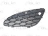 Grila ventilatie, bara protectie MERCEDES E-CLASS (W211) (2002 - 2009) BLIC 5601-00-3528997P