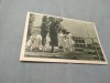 CARTE POSTALA PLOIESTI CASA PIONERILOR CIRCULATA, Printata