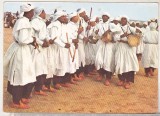 bnk cp Algeria - Formatie folclorica - necirculata