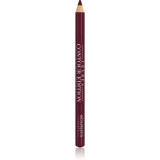 Bourjois Contour Edition Creion de buze de lunga durata culoare 09 Plum It Up! 1.14 g