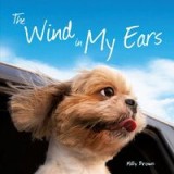 The wind in my ears