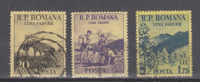 M1 TW 1 - 1954 - Luna padurii foto
