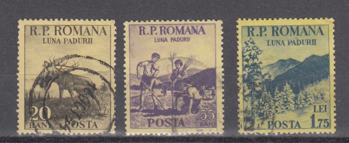 M1 TW 1 - 1954 - Luna padurii