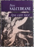 Apa care tace - Petre Salcudeanu