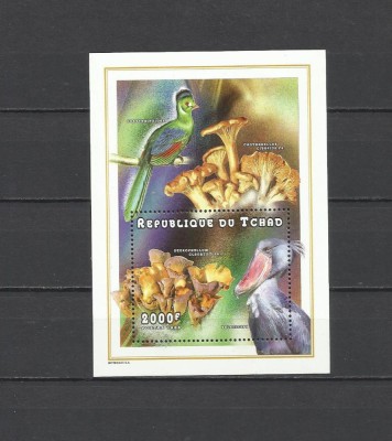 CHAD 1998 CIUPERCI foto