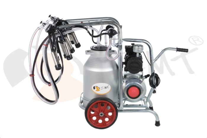 EMT. Aparat de muls vaci 2 posturi cu bidon din aluminiu 30 litrii EMT 2+1A30
