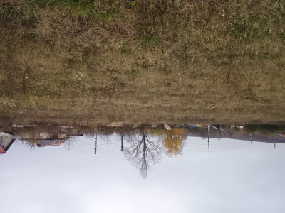 Teren arabil intravilan de v&amp;acirc;nzare foto