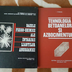 BAZELE INTARIRII LIANTILOR/TEHNOLOGIA BETOANELOR-ION TEOREANU