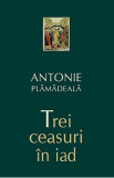 Trei ceasuri in iad - Antonie Plamadeala