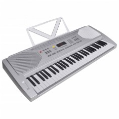 vidaXL Set tastatura electrica cu 61 de taste, argintiu ?i negru foto