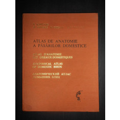 Cauti Atlas Anatomie Comparata vol. II V. Ghetie? Vezi oferta pe Okazii.ro