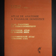 V. Ghetie - Atlas de anatomie a pasarilor domestice (1976, editie cartonata)