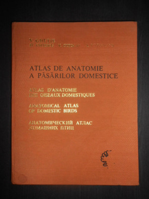 V. Ghetie - Atlas de anatomie a pasarilor domestice (1976, editie cartonata) foto